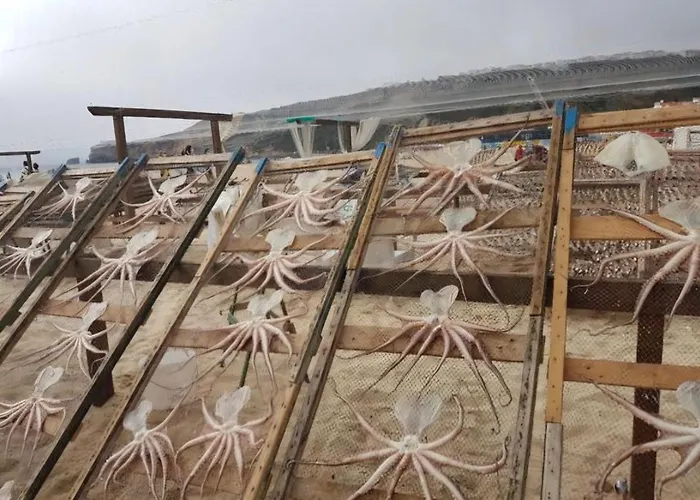 Equinoxea Βίλα Ναζαρέ